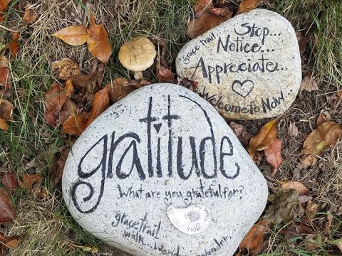 A Thanksgiving Message from Robert A.F. Thurman