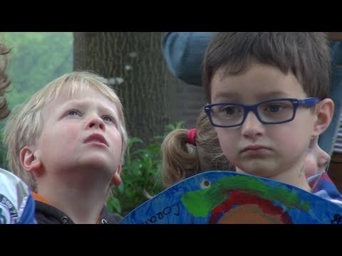 Kunst en Bomen: de boom van den Akker is aangekleed