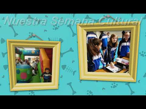 Vídeo Colegio CENTRO EDUCATIVO VILLA DE ALCORCÓN