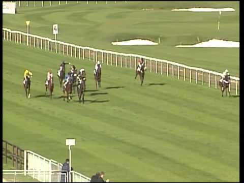 München, BBAG Auktionsrennen München, 01.11.12, Sieger: Vif Monsieur