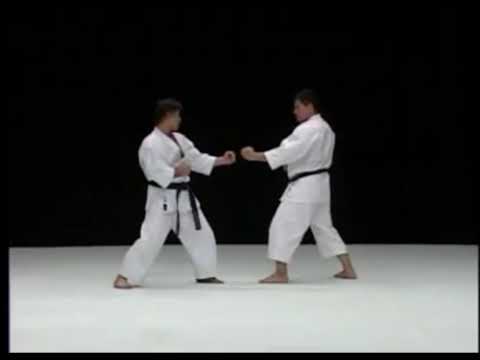 Ryuei-ryu - Sakumoto-sensei - Paiku - Bunkai