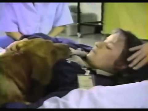 Un chien pressent les crises d'épilepsie