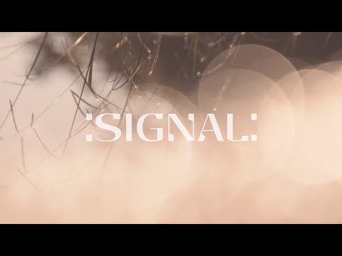 Silent Planet - :Signal: (Official Footage)