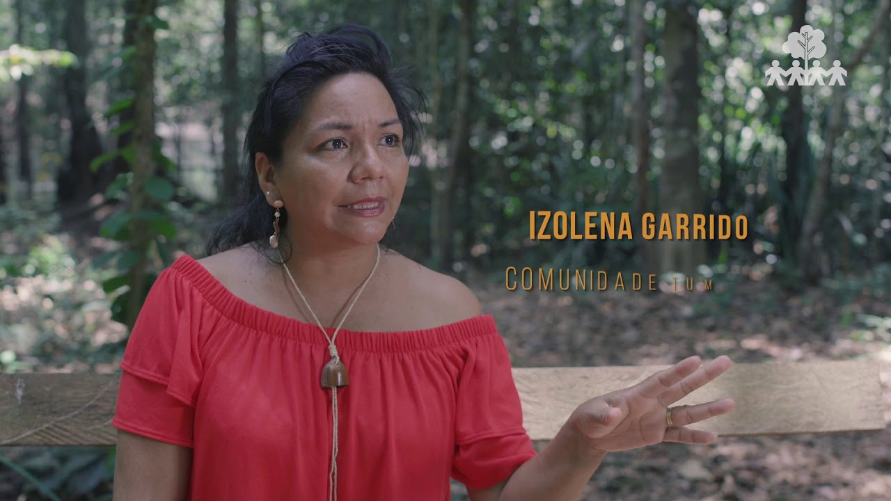 Como é feito o manejo florestal | Soluções para a sustentabilidade