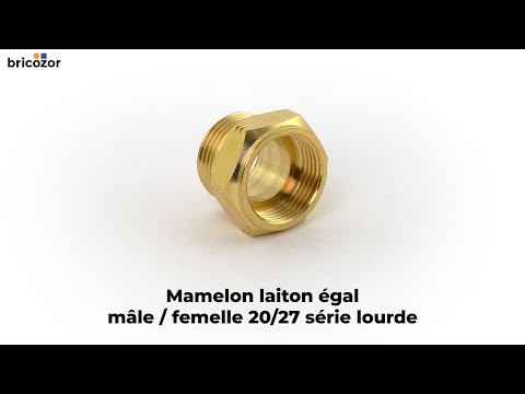 Mamelon laiton égal mâle / femelle série lourde BRICOZOR