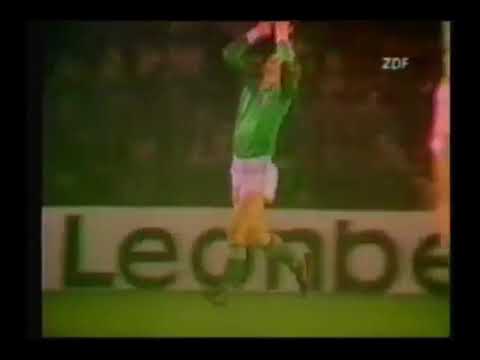Northern Ireland 1 - 0 West Germany (17 November 1982)