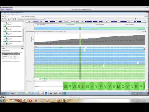 Overview of DNA Sequence Analysis and Upstream Analysis Considerations