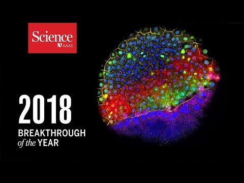 2018 Breakthrough of the Year