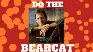 Do The Bearcat - David Wilcox Karaoke