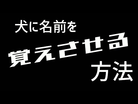 犬に名前を教える方法