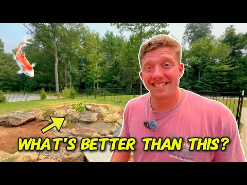 Is this the coolest backyard you've ever seen?