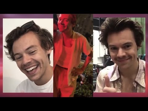 ハリー・スタイルズがファンを親切に扱う (Harry Styles treating fans with kindness)