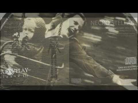 NECRO STELLAR - I see the White Light (Remix by STILLIFE)