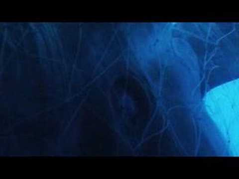 Nilla Nielsen - Shellshocked