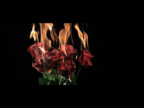 Alan King Project - Say My Name (Official Music Video)