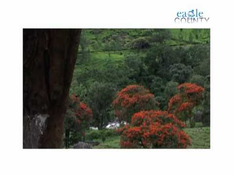 Rock 1 eagle County Walk through  made by www.newnessads.com