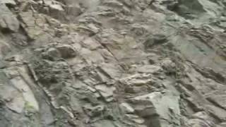 preview picture of video 'Bald Eagle and Reedsville Formations at the Narrows'