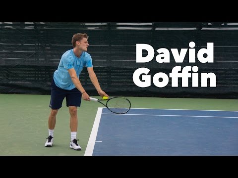 DAVID GOFFIN'S SERVE IN SUPER SLOW MOTION by TennisAcademy101