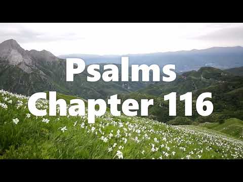 The Book of Psalms Chapter 116 - New King James Version (NKJV) - Audio Bible