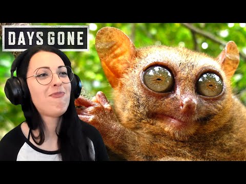 DAYS GONE Walkthrough Part 26 - OVERDOSE