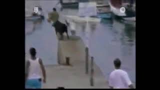 【笑いたい時だけ見るべし！】懐かしの海外のハプニング映像
