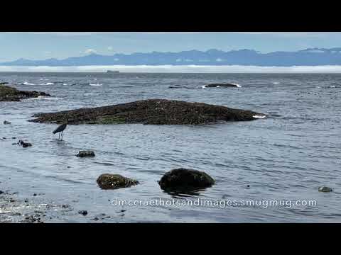 Nature Photography -Delia McCrae