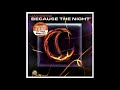 Jan Wayne Because The Night Radio Edit