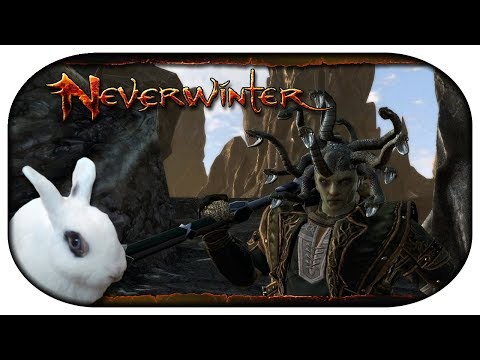 NEVERWINTER: Paladin-LP 🐇 91 - Angriff der Elemente