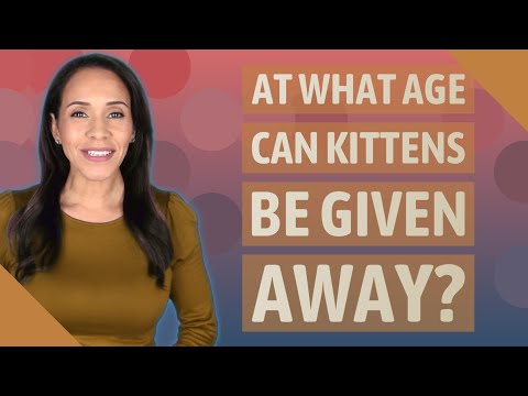 At what age can kittens be given away?
