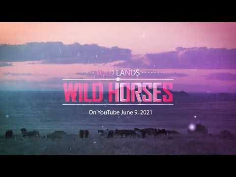 Wild Lands Wild Horses - June 9th Trailer