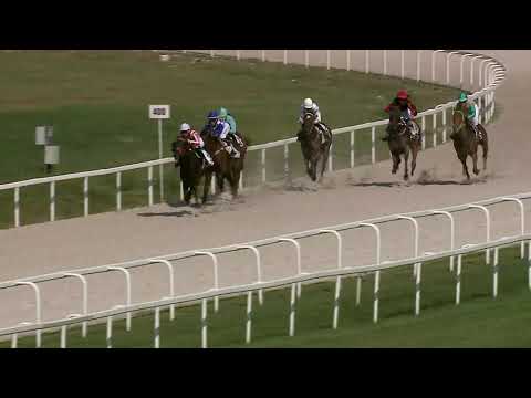 2021.08.01. 05. futam - DÁMAVERSENY HENDIKEP (V.o.) (szintetikus pálya)