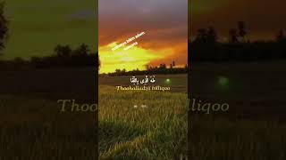 Download lagu sholawat ya asyiqol Musthofa status wa mp3