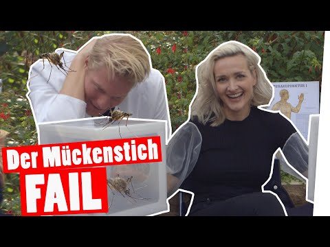 Bestrafung: Der große Mückenstich-FAIL || „Das schaffst du nie!“