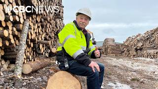As the N.L. newsprint industry sputters, sawmill owners are framing up a bright future