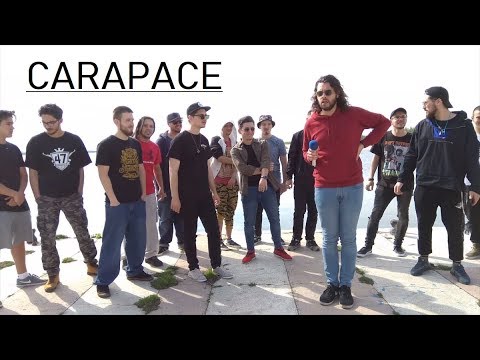 Shelu - CARAPACE [aka piesa de la iUMOR]