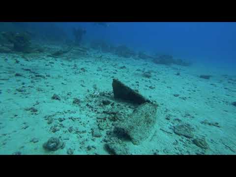 20171029 Spider conch