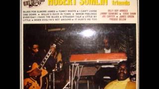 Hubert Sumlin & Friends - Willie's Back In Town