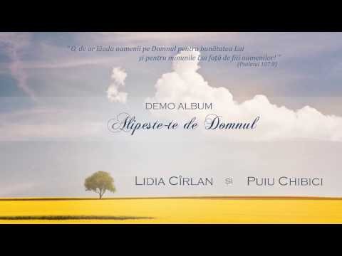 Demo Album - Lidia Cîrlan şi Puiu Chibici (2017)