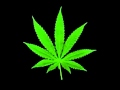 Wayne Marshall Legalize Ganja 