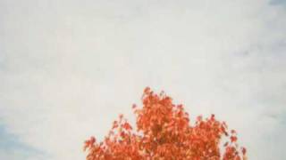 Benoit Pioulard - Hesperus [TEMPER]