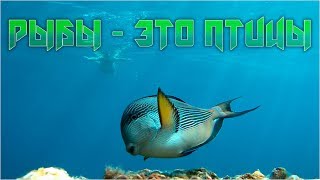 ���� � ��� �����