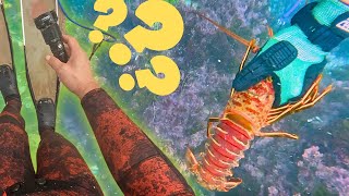 "One-Handed Lobster Diving Challenge