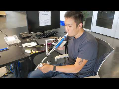 Automatic Slide Whistle - My Heart Will Go On