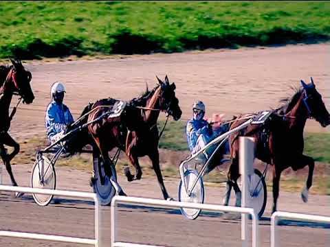 Trotto 15/03/2019 - 3ª corsa