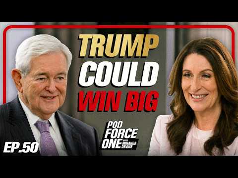 Newt Gingrich: Trump Will Break the Left With A Midterm Victory