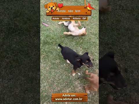 Vídeo de Ainda não tem