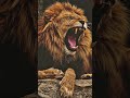 Lion Roar