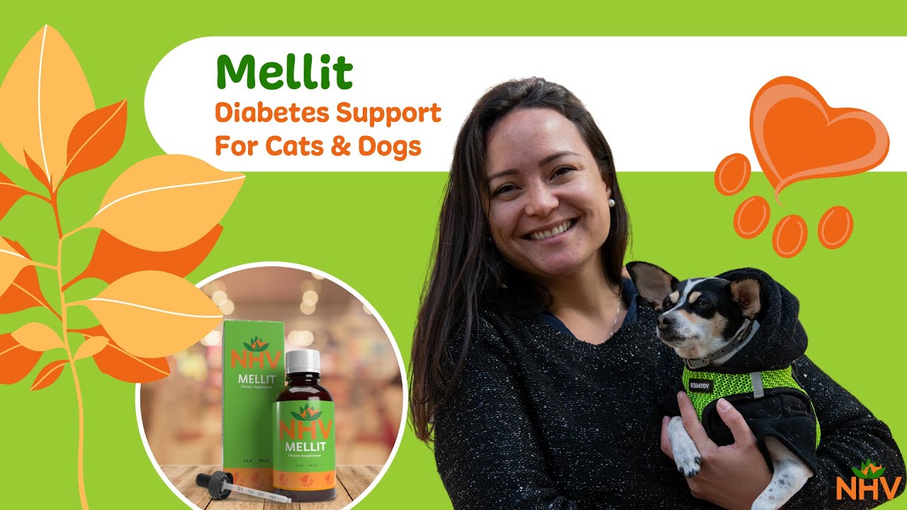 NHV Mellit: Diabetes & Pancreatitis Support For Cats & Dogs