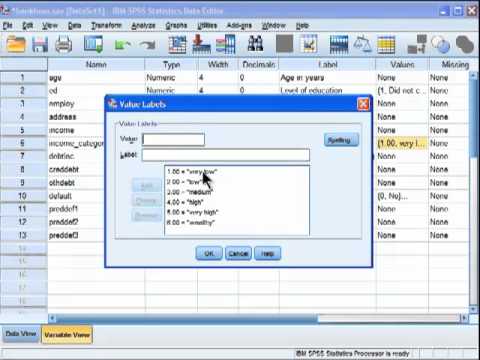 Spearman Correlation - SPSS (part 1)