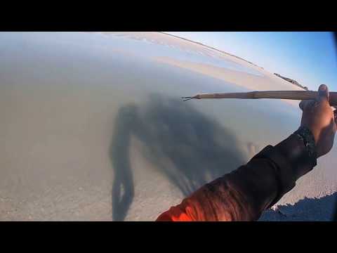 Close call with a stingray.